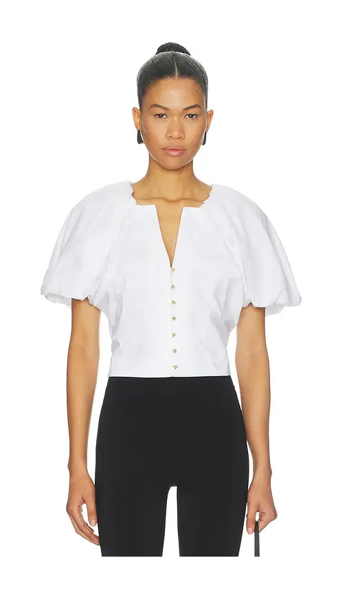 Frame Dramatic Sleeve Blouse