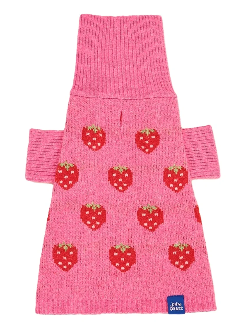 Strawberry Sweater Strawberry Sweater