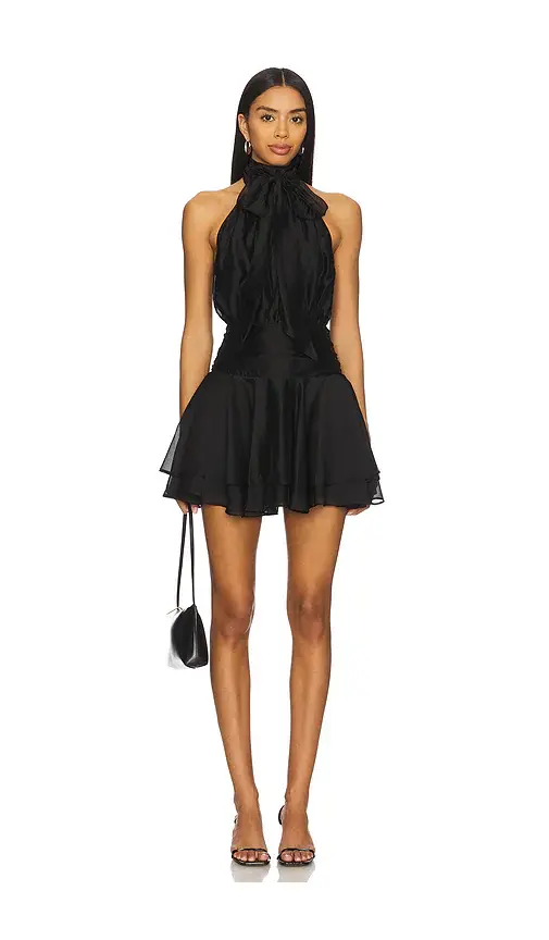 Lovers and Friends Emerson Mini Dress