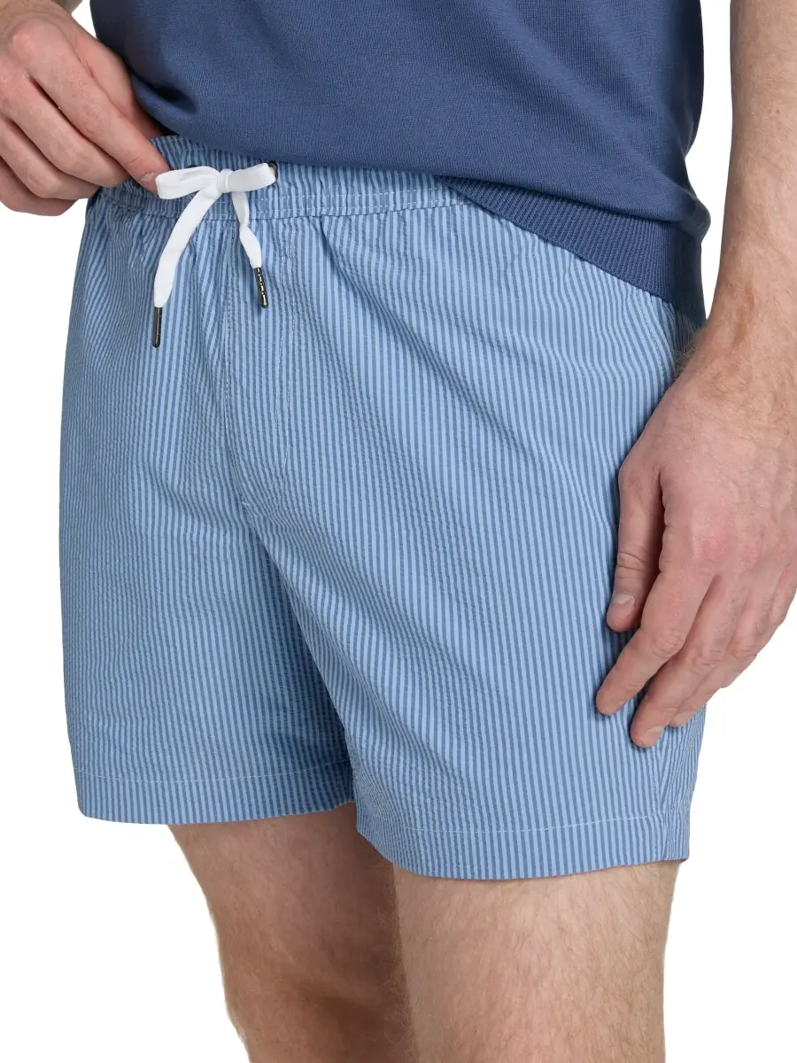 Saks Fifth Avenue Men's Tonal Microstripe Swim Shorts | Thumbnail 5 Saks Fifth Avenue Men's Tonal Microstripe Swim Shorts | Thumbnail 5
