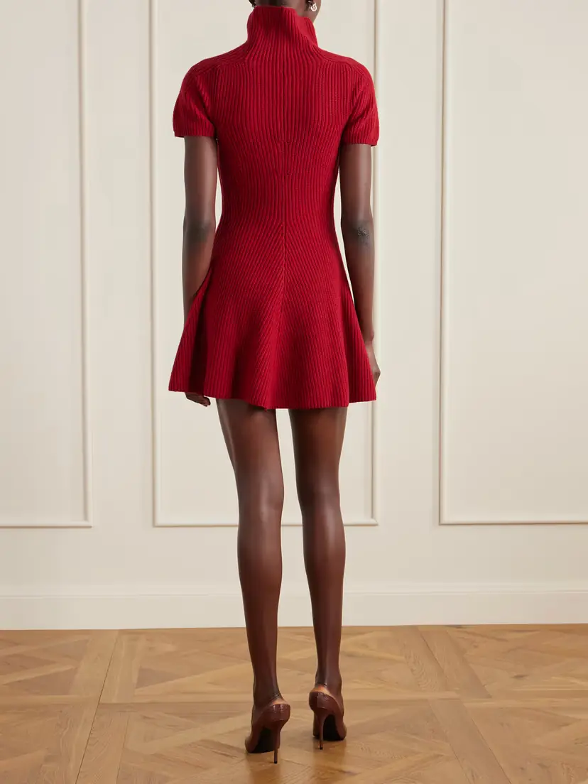 Magda Butrym Ribbed Cashmere Turtleneck Mini Dress | Thumbnail 3 Magda Butrym Ribbed Cashmere Turtleneck Mini Dress | Thumbnail 3