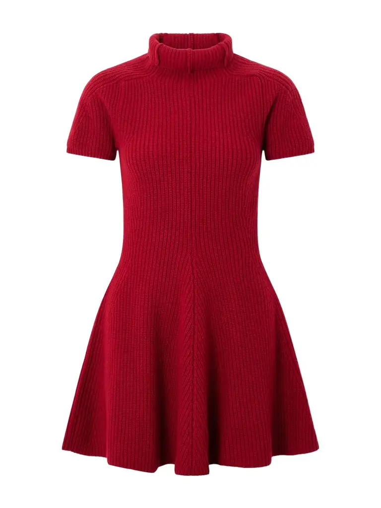 Ribbed Cashmere Turtleneck Mini Dress