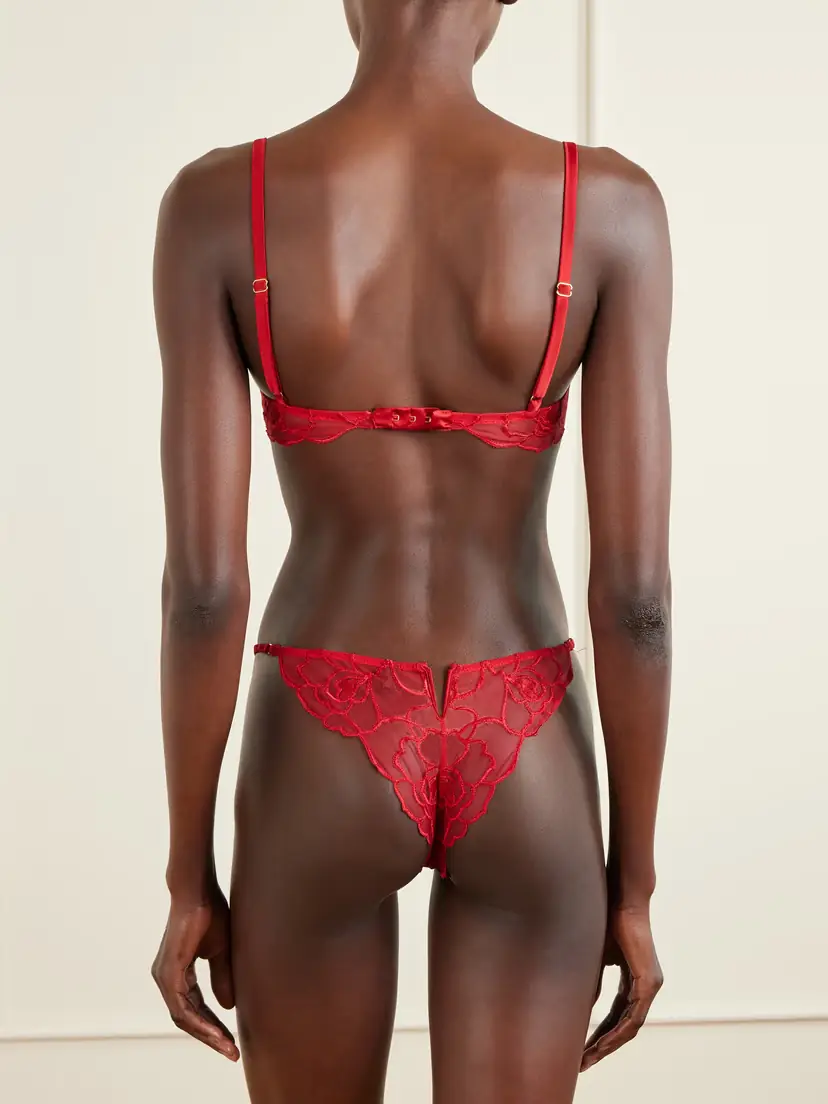 Kiki de Montparnasse Petite Chou Embroidered Lace Briefs | Thumbnail 3