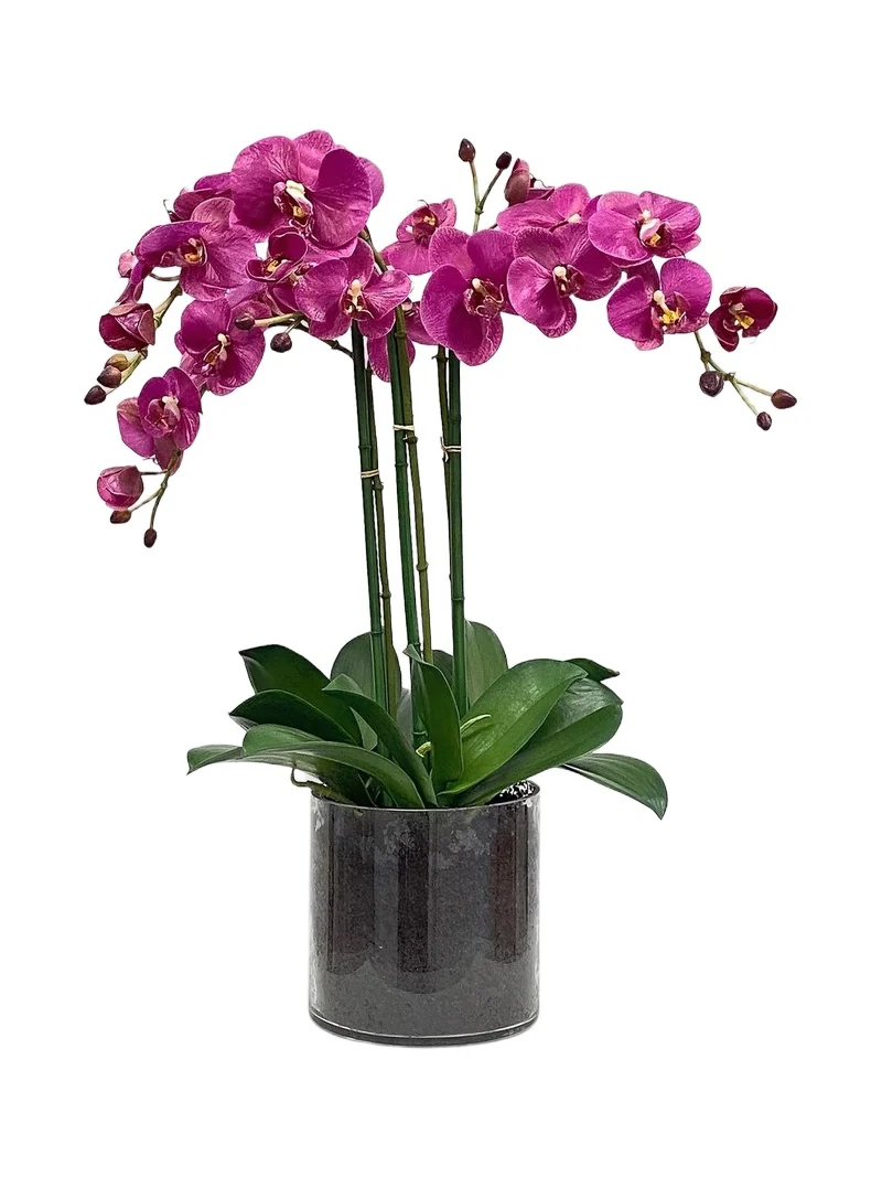 Winward Home Faux Floral Orchid Phalaenopsis in Glass Vase - Fuchsia