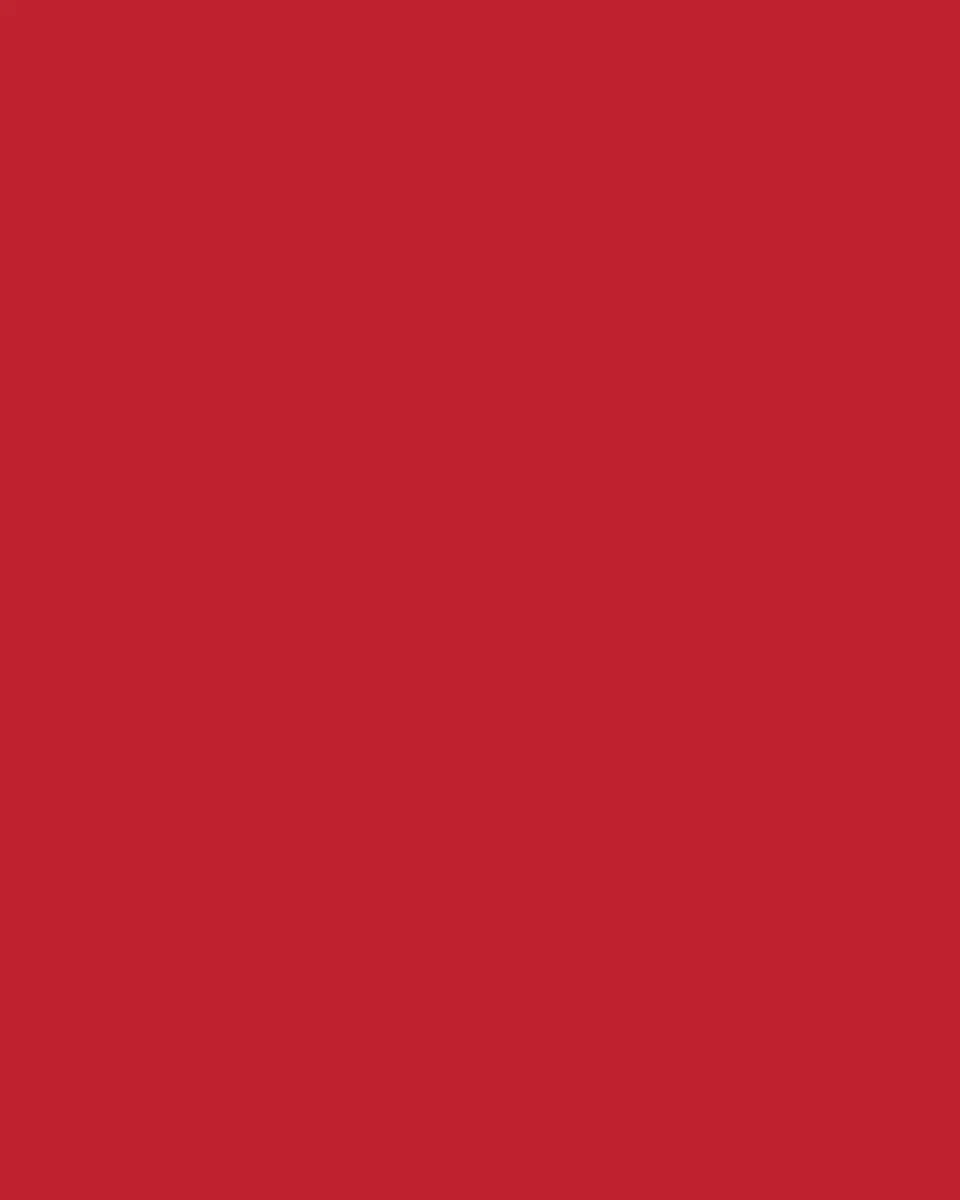 Raynaud Christobel Charger Plate | Thumbnail 3