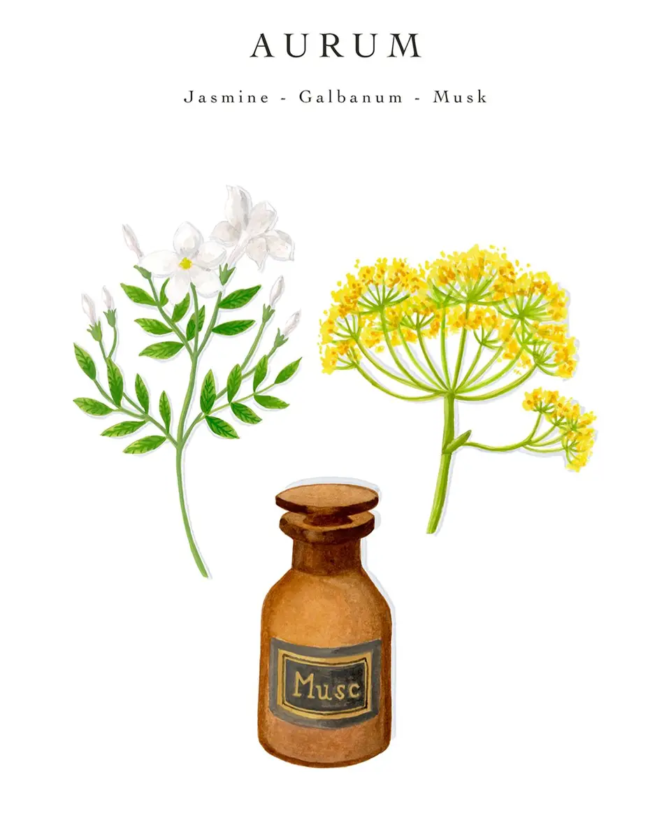 BAOBAB COLLECTION Aurum Scented Candle, 6.3" | Thumbnail 4