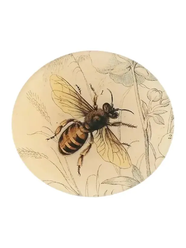 John Derian Honey Bee 5.8" Decorative Plate