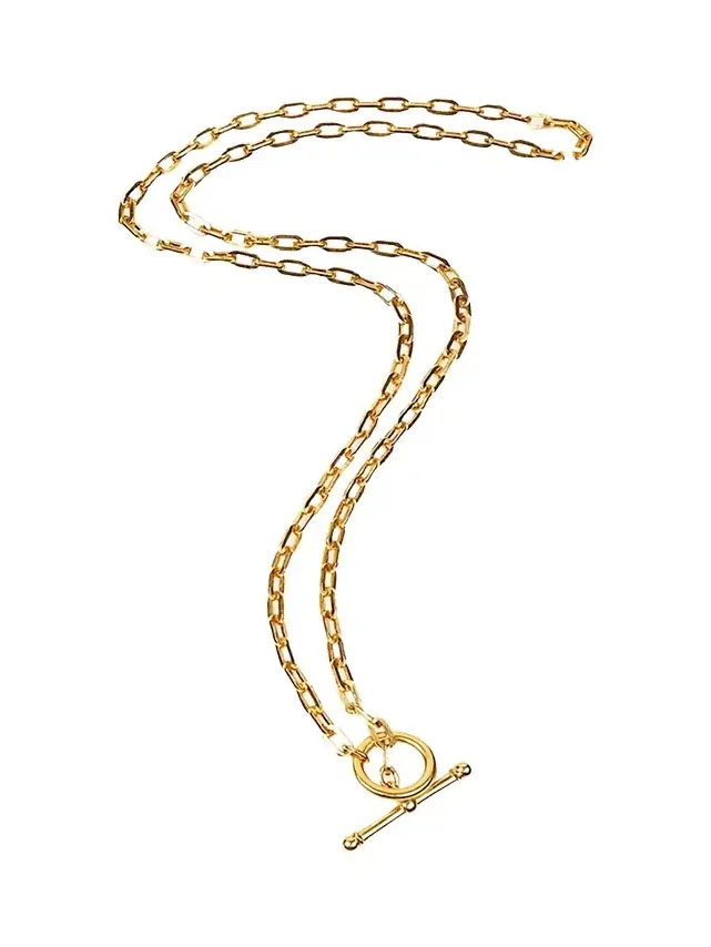 Long Oval-Link Necklace
