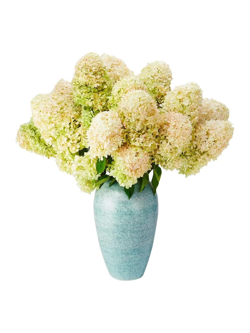 AERIN Calinda Tapered Vase