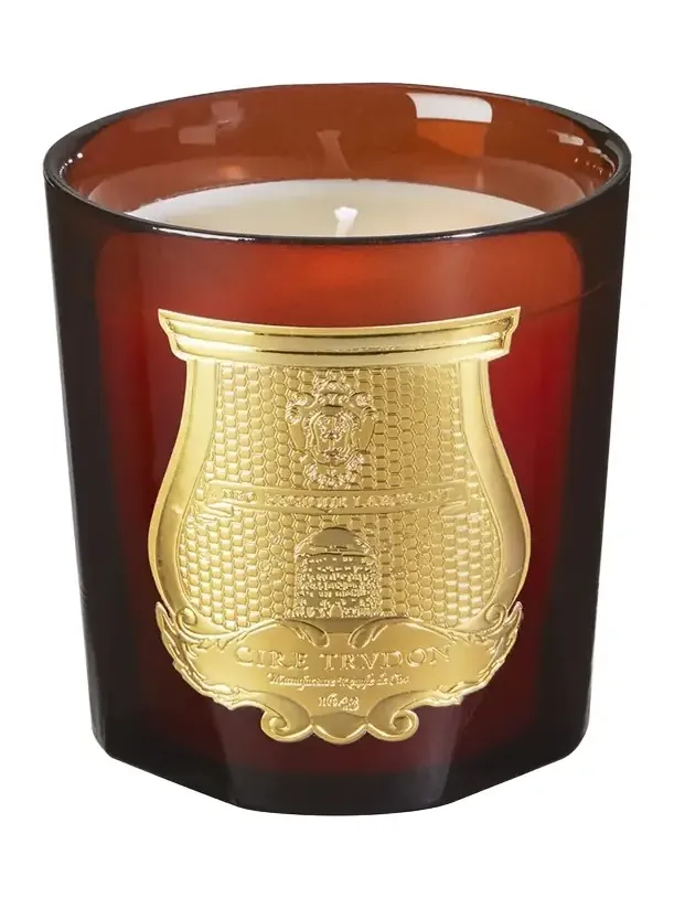 TRUDON Cire Classic Candle, Beeswax Absolute