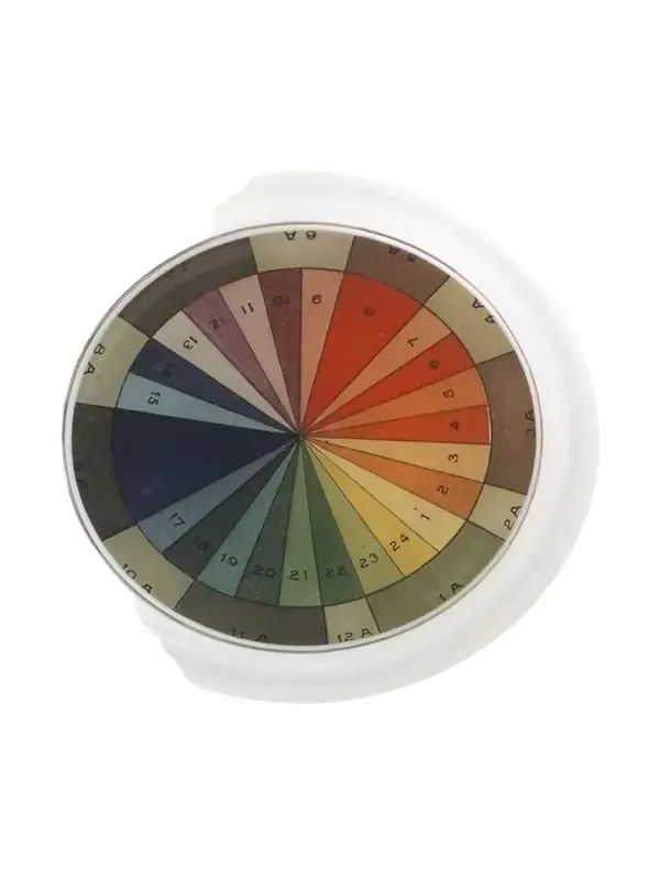 John Derian Color Wheel Coaster