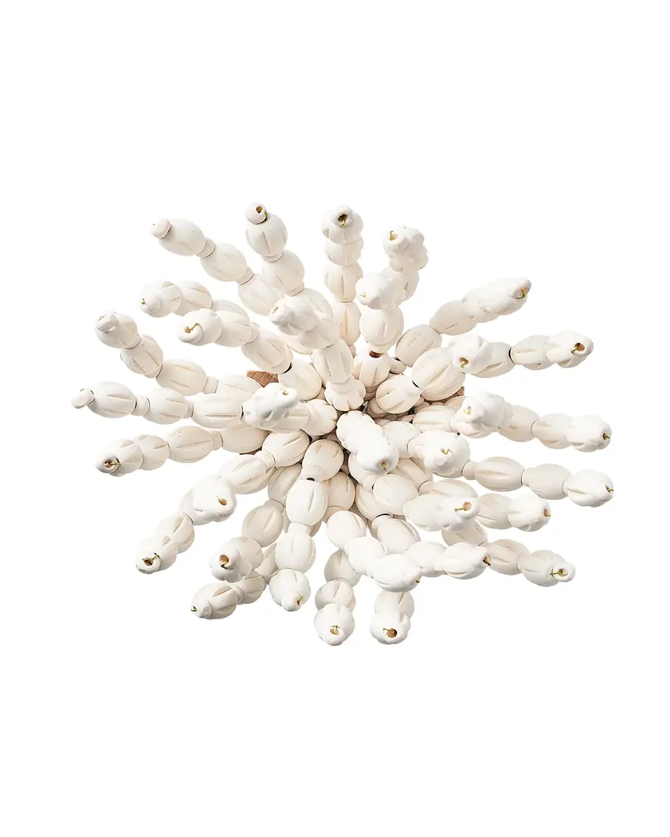 Kim Seybert REED NAPKIN RING | Thumbnail 2