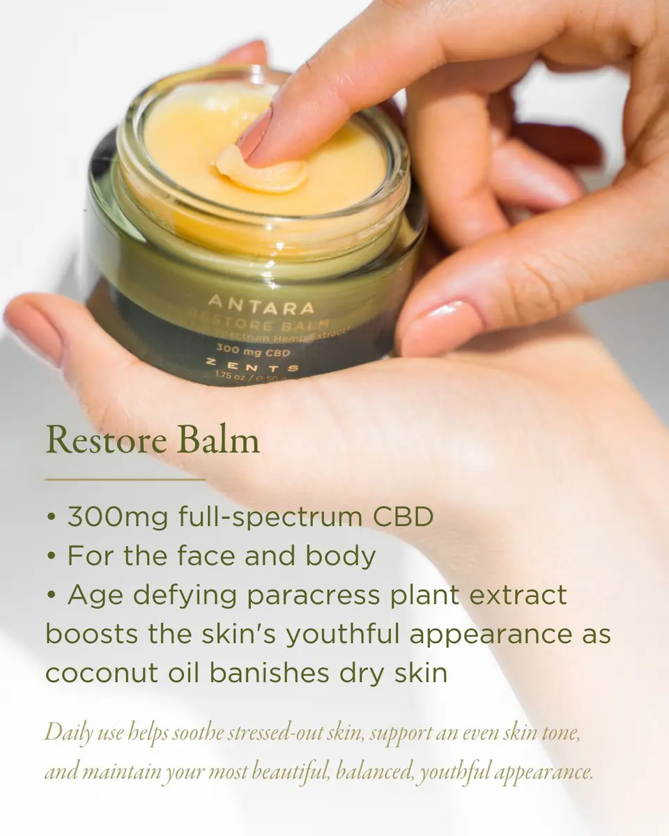 Zents ANTARA Restore Balm with 300 mg CBD, 1.75 oz. | Thumbnail 3 Zents ANTARA Restore Balm with 300 mg CBD, 1.75 oz. | Thumbnail 3