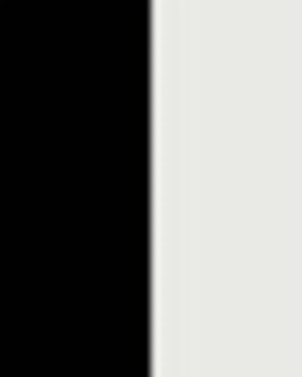 FORNASETTI Gerusalemme Tray, 25" x 60" | Thumbnail 3 FORNASETTI Gerusalemme Tray, 25" x 60" | Thumbnail 3