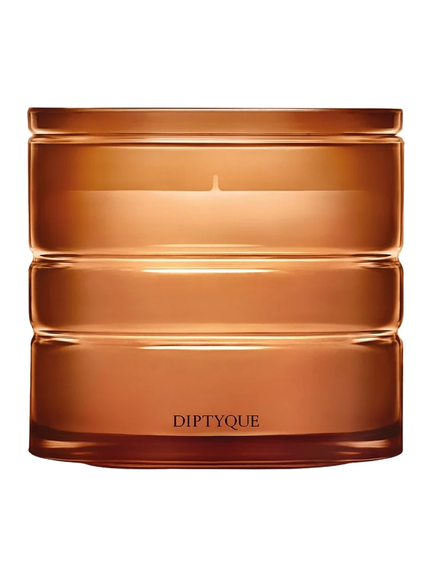 Diptyque Terres Blondes (Golden Lands) Refillable Candle, 9.5 oz.