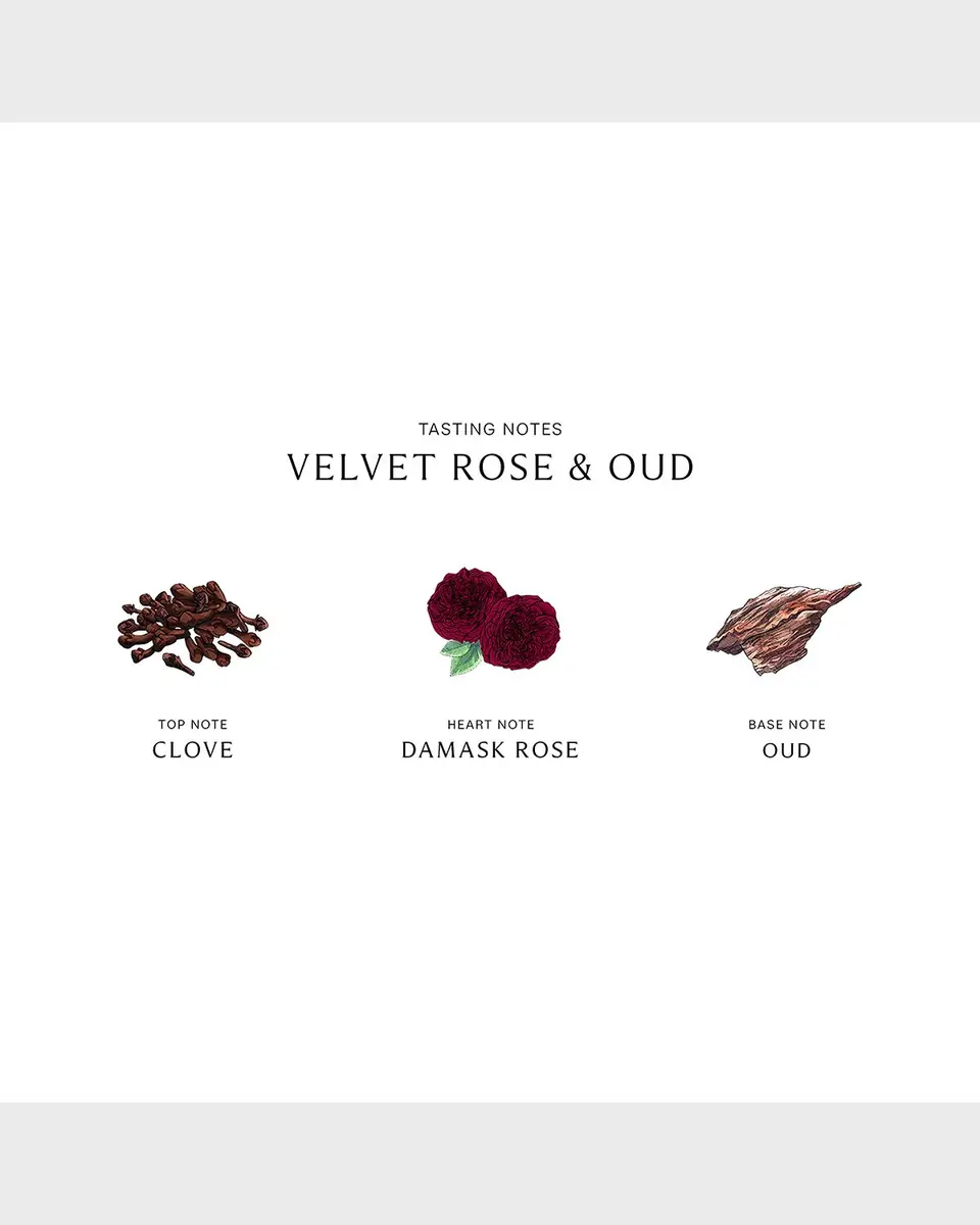 Jo Malone London Velvet Rose and Oud Cologne Intense | Thumbnail 2