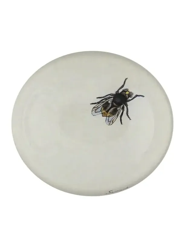 John Derian The Fly Dome Paperweight
