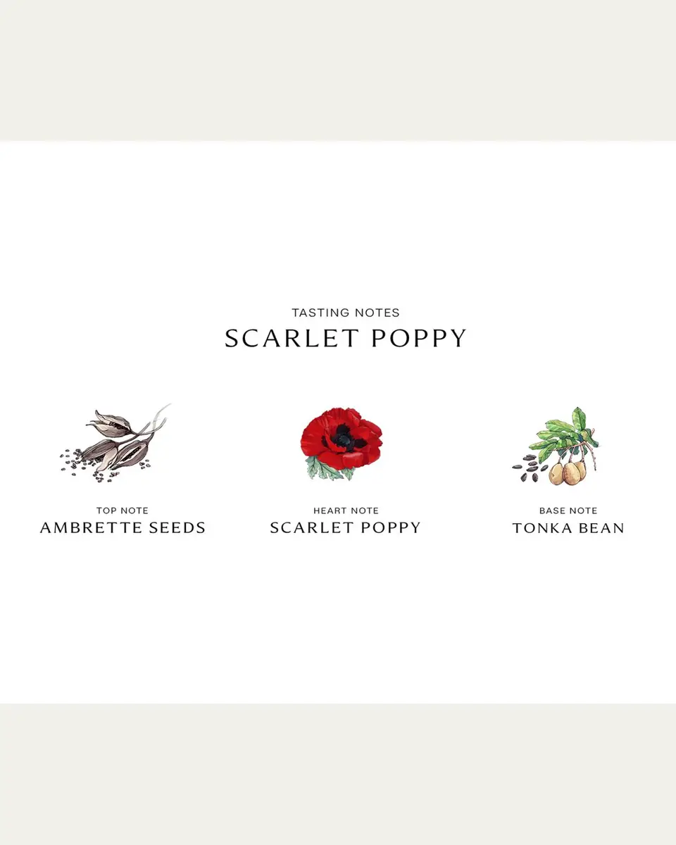 Jo Malone London Scarlet Poppy Cologne Intense, 1.7 oz. | Thumbnail 3 Jo Malone London Scarlet Poppy Cologne Intense, 1.7 oz. | Thumbnail 3
