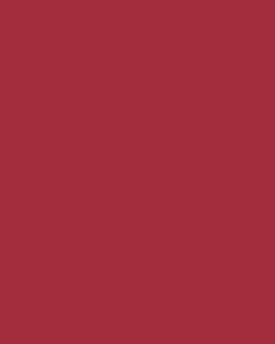 Le Specs AIRY CANARY II Red Acetate Cat-Eye Sunglasses | Thumbnail 3 Le Specs AIRY CANARY II Red Acetate Cat-Eye Sunglasses | Thumbnail 3