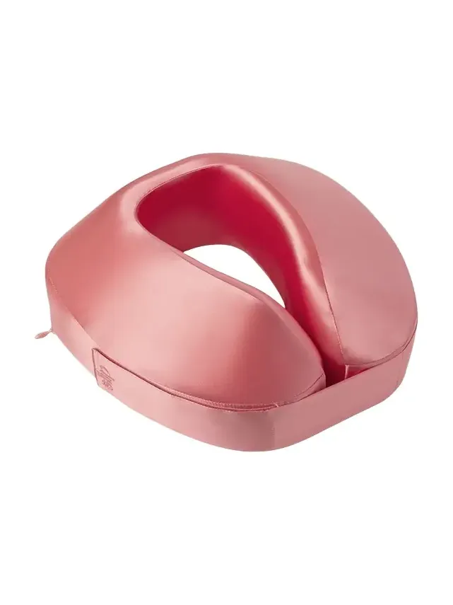 Pure Silk Jet Setter Travel Pillow Pure Silk Jet Setter Travel Pillow