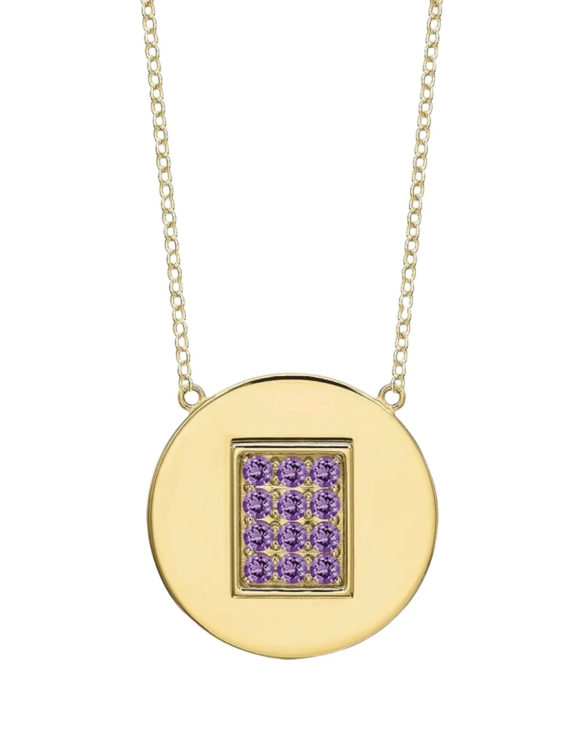 14K Gold Amethyst Birthstone Token Necklace 14K Gold Amethyst Birthstone Token Necklace