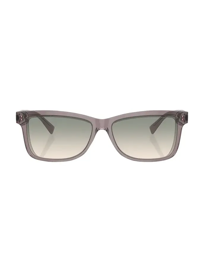Logo Acetate Butterfly Sunglasses