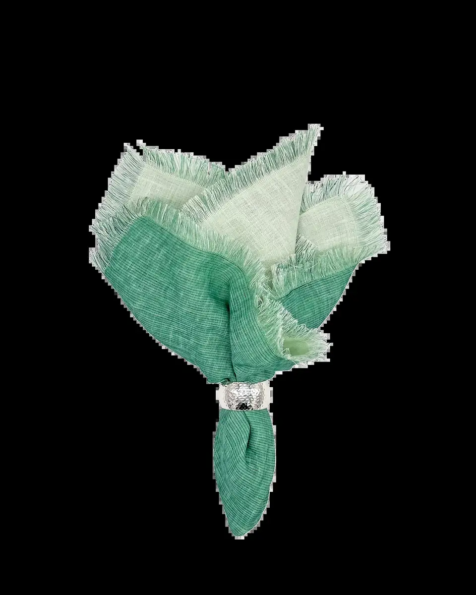 Tina Chen Designs Green Double-Sided Shadow Fringe Napkin | Thumbnail 2 Tina Chen Designs Green Double-Sided Shadow Fringe Napkin | Thumbnail 2
