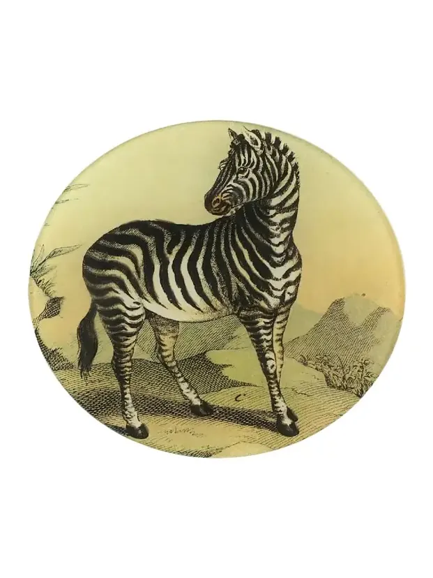 John Derian Zebra 118 Decorative Plate