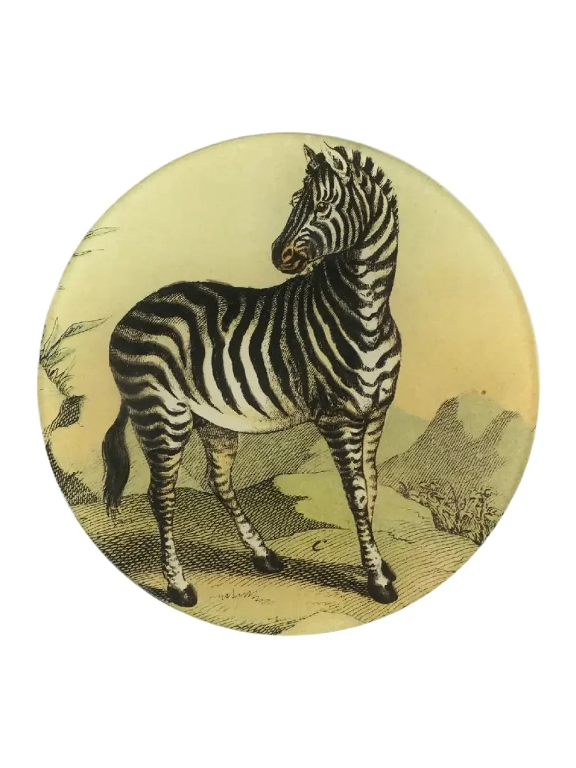 John Derian Zebra 118 Decorative Plate