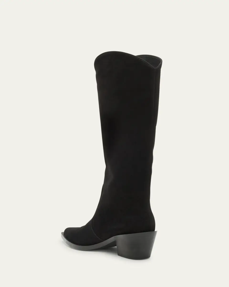 Gianvito Rossi Suede Tall Western Boots | Thumbnail 6