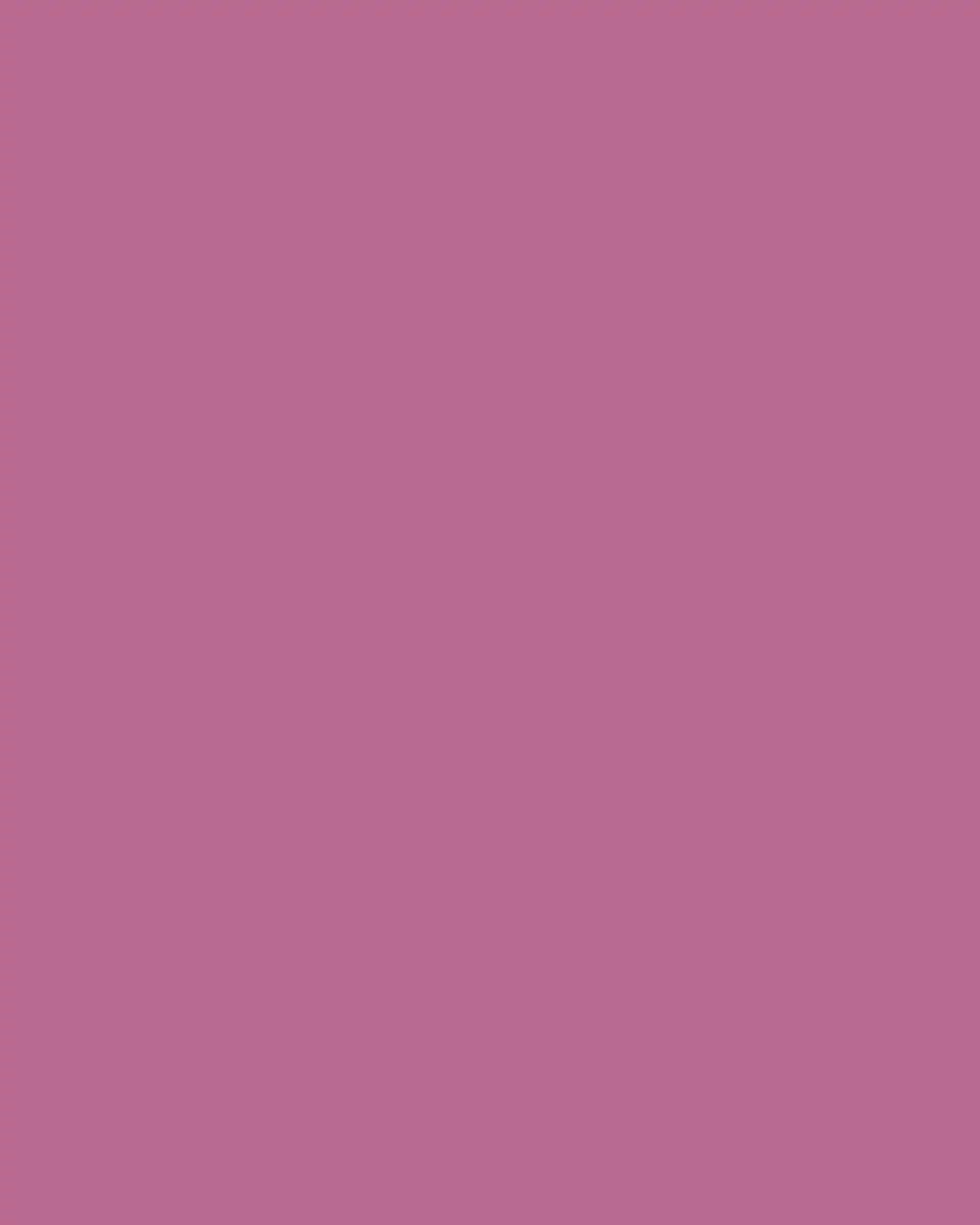 Paul Smith Rose Diffuser, 8.5 oz. | Thumbnail 3 Paul Smith Rose Diffuser, 8.5 oz. | Thumbnail 3