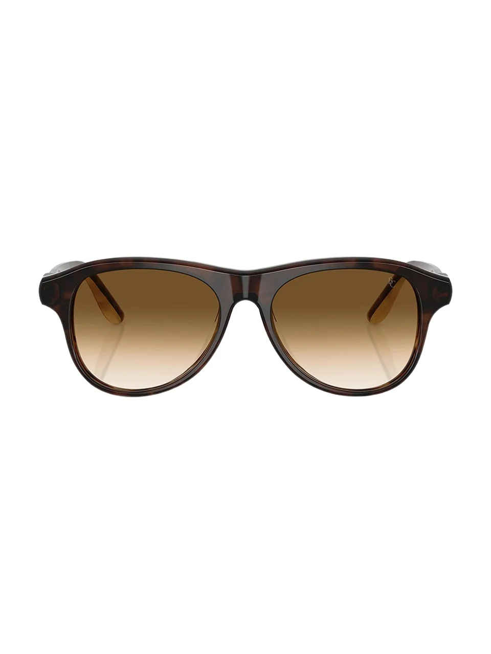 BC4015S Acetate Aviator Sunglasses