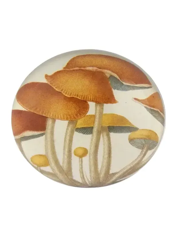 John Derian Mushroom Cluster Dome Paperweight