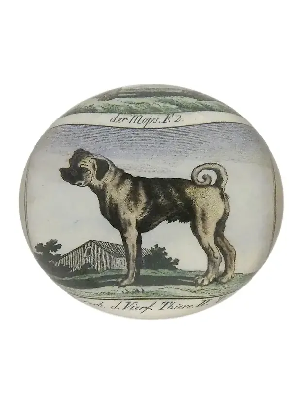 John Derian Pug Profile Dome Paperweight