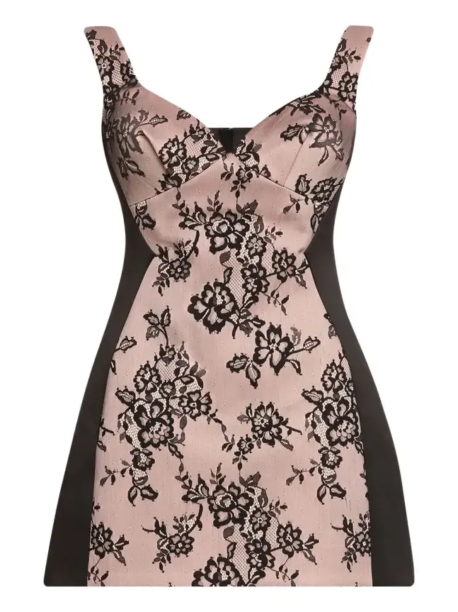 Sculpted Lace Sleeveless Mini Dress