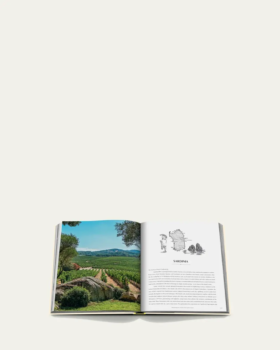 ASSOULINE "Wine & Travel: Mediterranean Islands" Book by Enrico Bernardo | Thumbnail 4