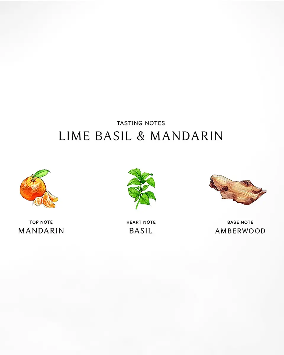 Jo Malone London Lime Basil & Mandarin Body Creme, 5.9 oz. | Thumbnail 2 Jo Malone London Lime Basil & Mandarin Body Creme, 5.9 oz. | Thumbnail 2