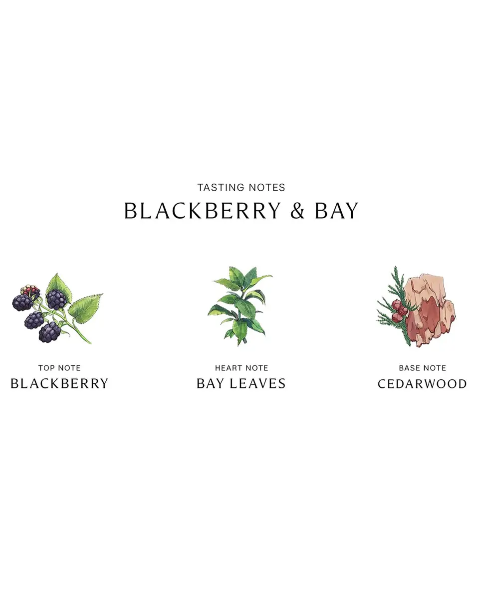 Jo Malone London Blackberry & Bay Cologne | Thumbnail 2 Jo Malone London Blackberry & Bay Cologne | Thumbnail 2