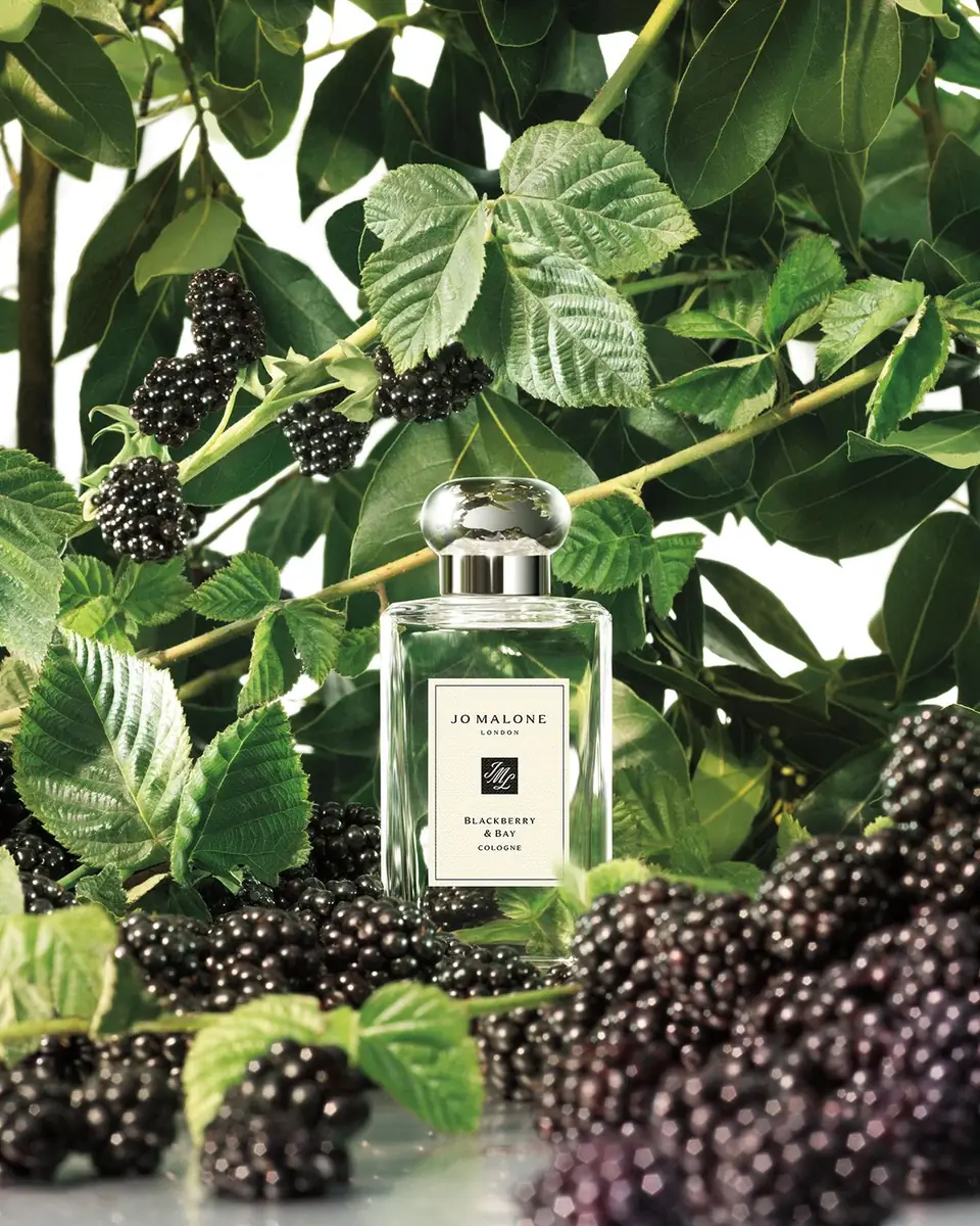 Jo Malone London Blackberry & Bay Cologne | Thumbnail 3 Jo Malone London Blackberry & Bay Cologne | Thumbnail 3