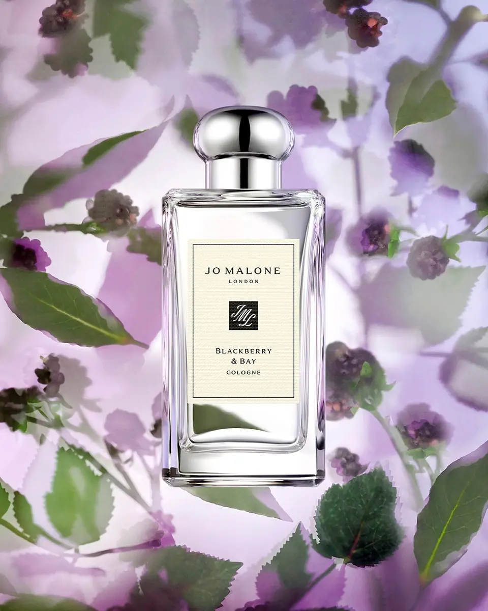 Jo Malone London Blackberry & Bay Cologne | Thumbnail 4 Jo Malone London Blackberry & Bay Cologne | Thumbnail 4