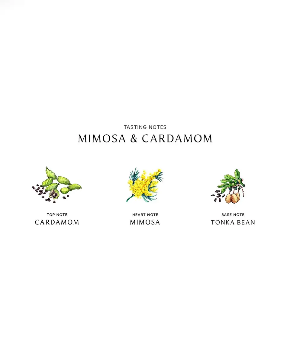 Jo Malone London 5.9 oz. Mimosa & Cardamom Body Creme | Thumbnail 2