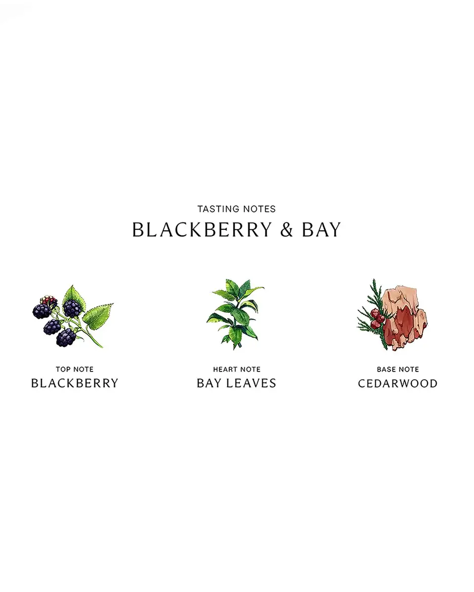 Jo Malone London Blackberry & Bay Body Creme, 175 mL | Thumbnail 2 Jo Malone London Blackberry & Bay Body Creme, 175 mL | Thumbnail 2