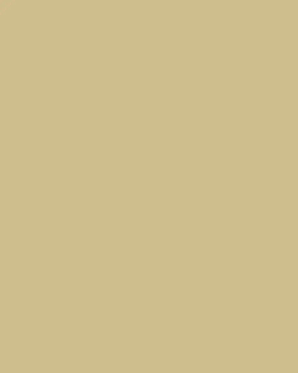 Kim Seybert Flux Napkin Ring | Thumbnail 4