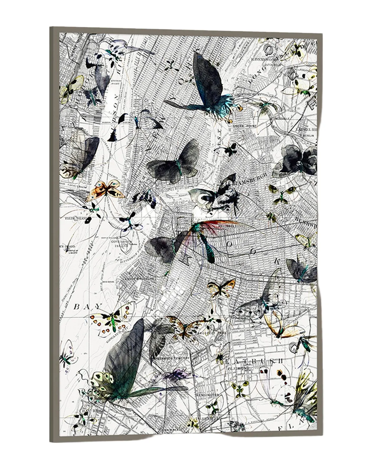 Wendover Art Group "New York Butterfly Map II" Wall Art