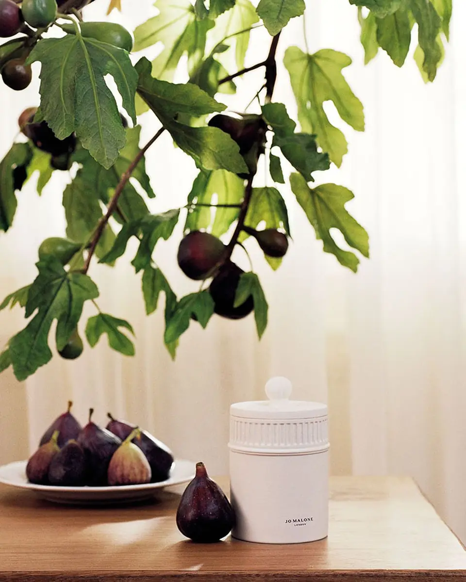 Jo Malone London 10.6 oz. Fresh Fig & Cassis Candle | Thumbnail 3