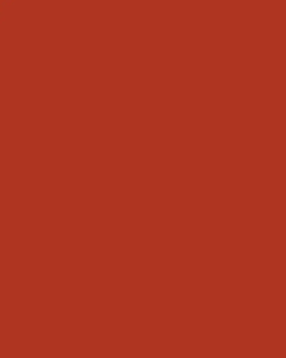 Raynaud Harmonia Buffet Plate | Thumbnail 3