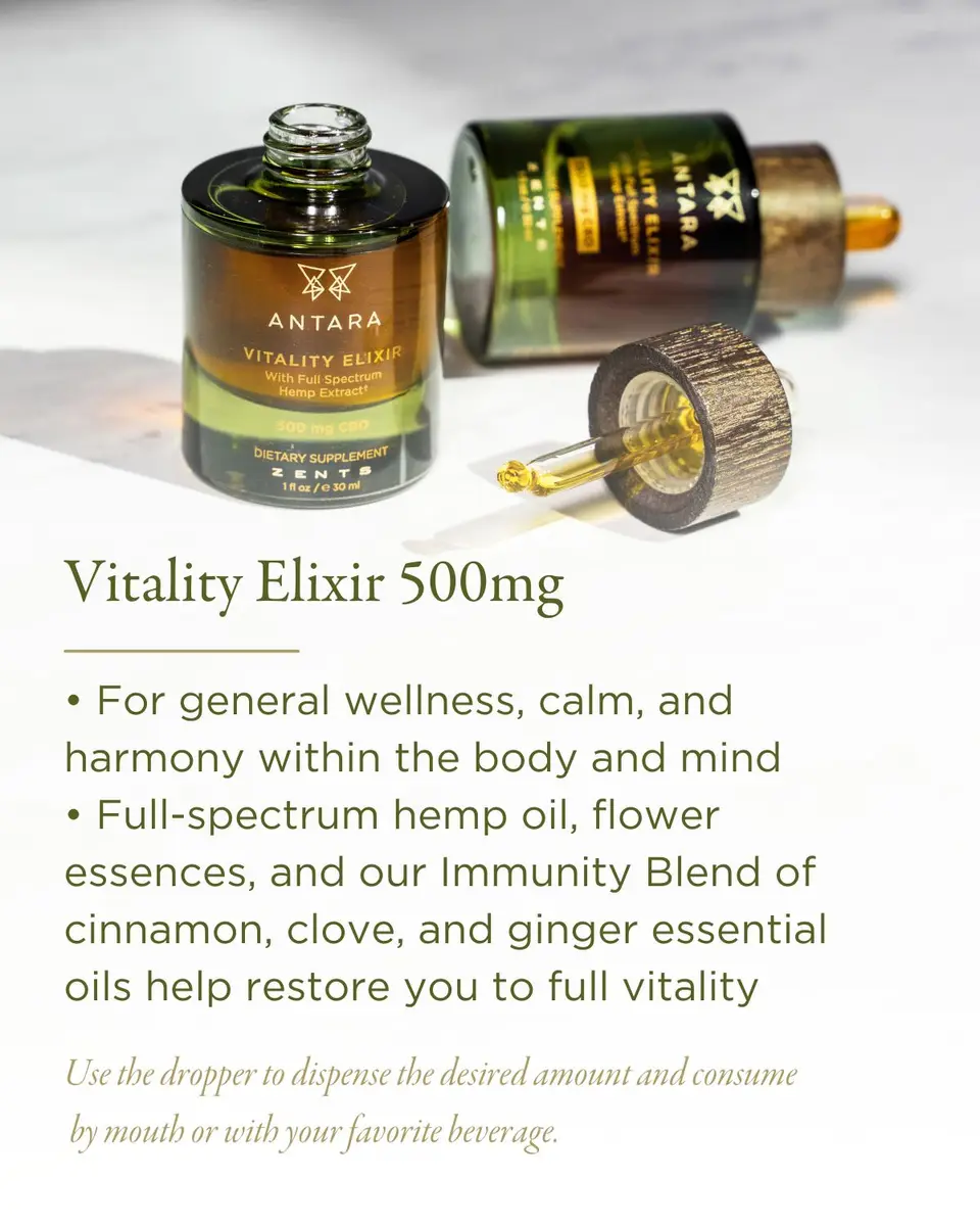 Zents 1 oz. ANTARA Vitality Elixir with 500 mg CBD | Thumbnail 3