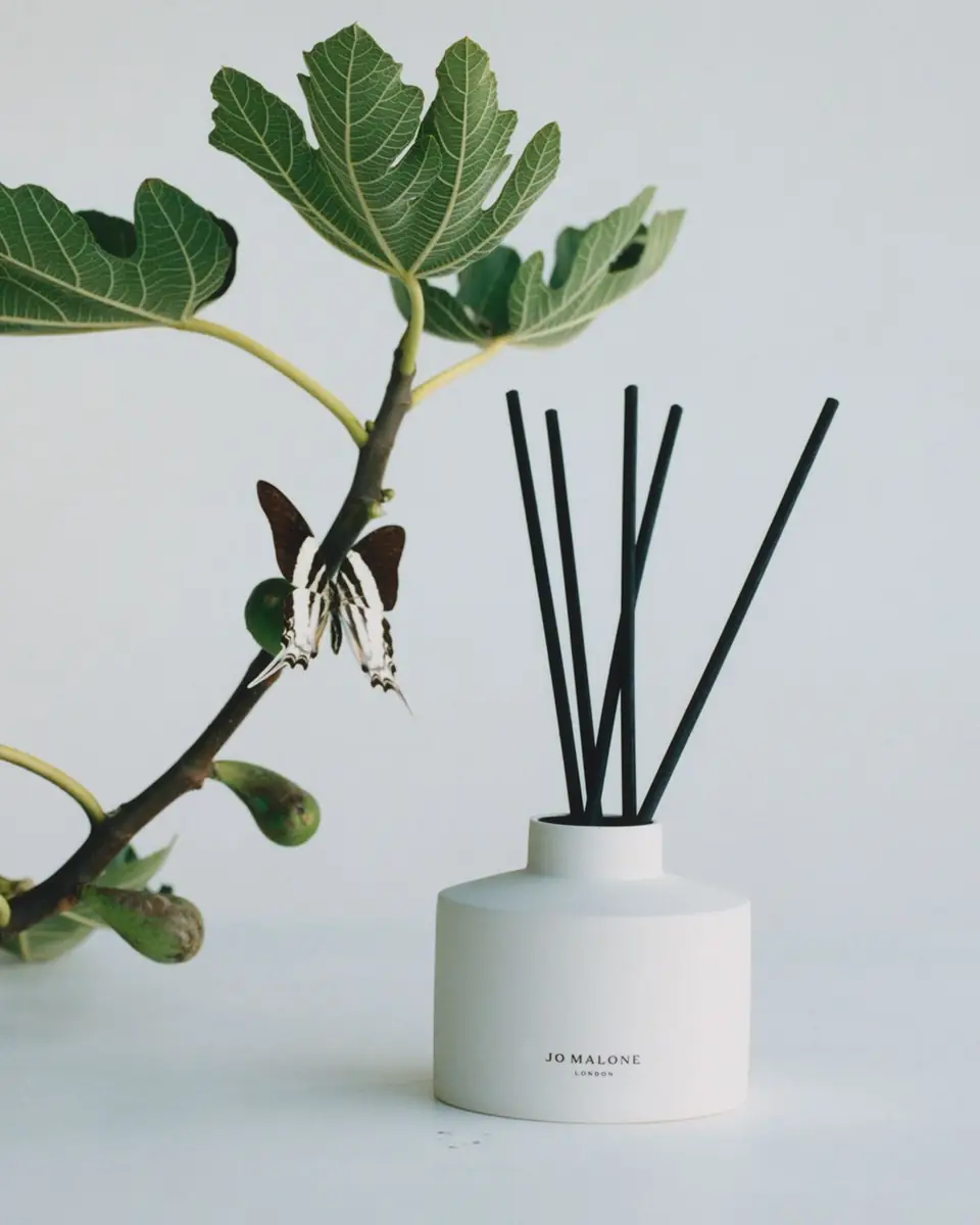 Jo Malone London 11.8 oz. Fresh Fig & Cassis Diffuser | Thumbnail 3 Jo Malone London 11.8 oz. Fresh Fig & Cassis Diffuser | Thumbnail 3