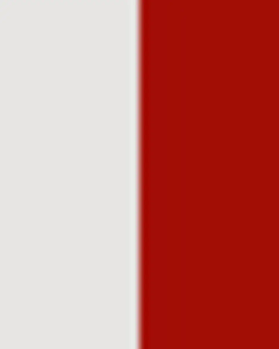 Bernardaud Noel Red Gift Salad Plate | Thumbnail 3