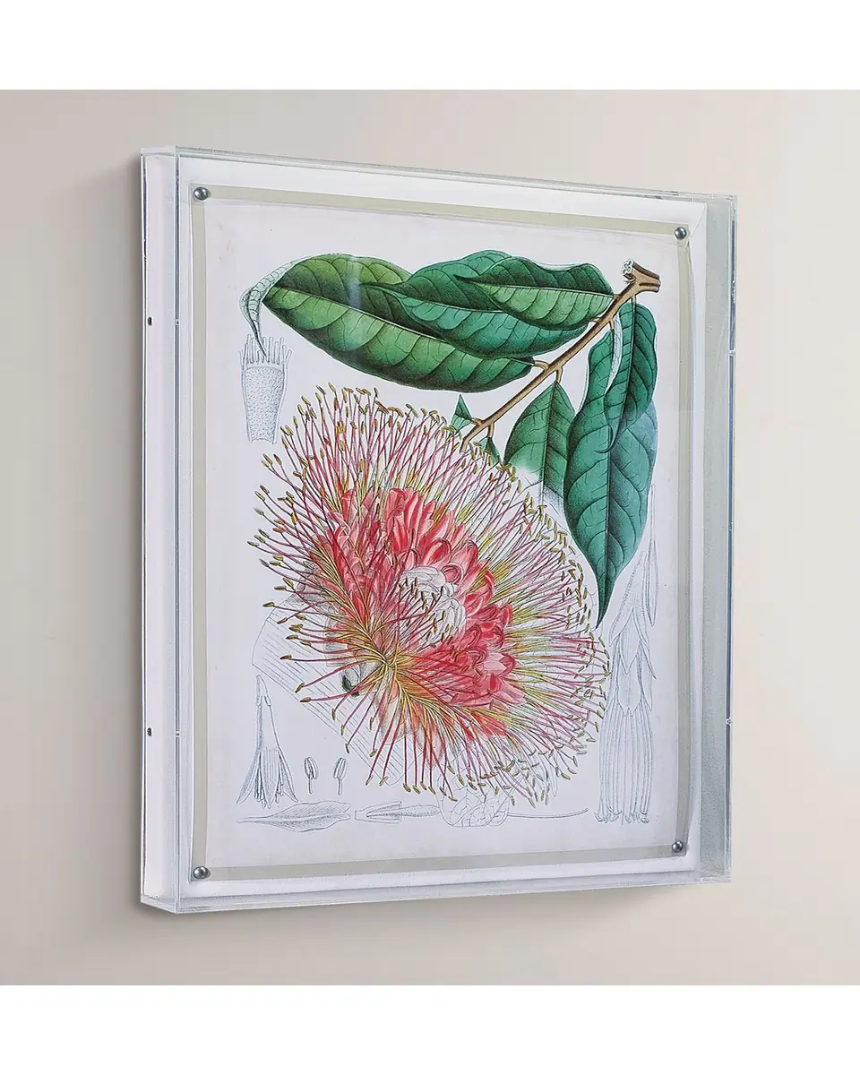Port 68 Tropicals IV Giclee | Thumbnail 4 Port 68 Tropicals IV Giclee | Thumbnail 4